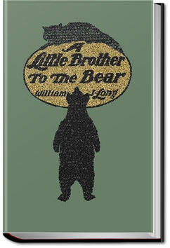 A Little Brother to the Bear and other Animal Stories | William J. Long